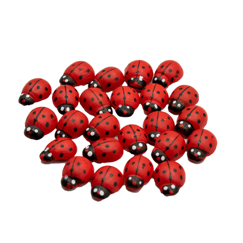 دکوری مدل کفشدوزک پشت چسب دار کد L3 بسته 24 عددی