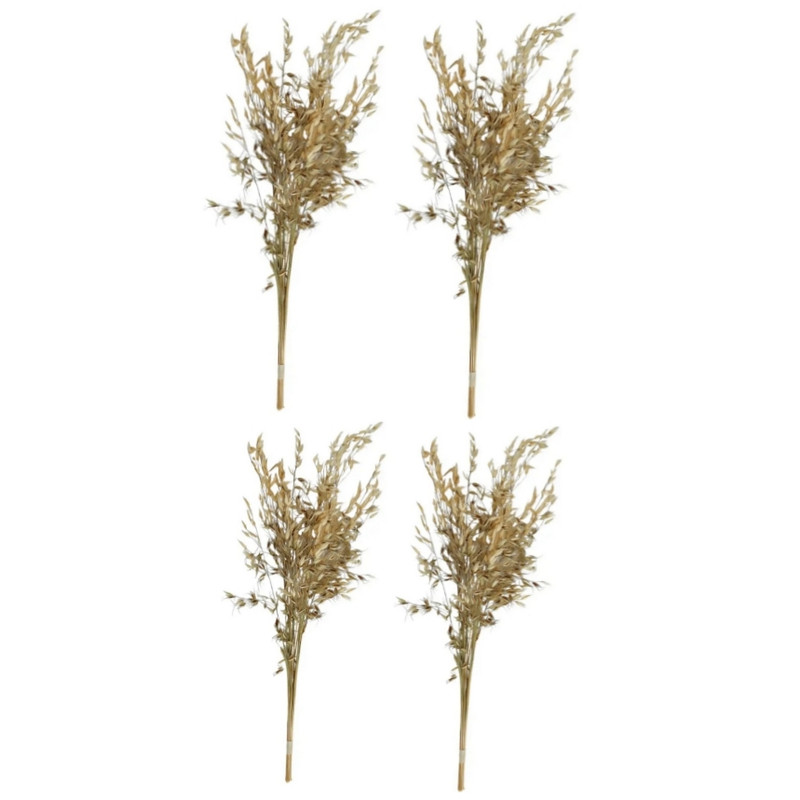 گل خشک مدل جودوسر بسته 4 عددی