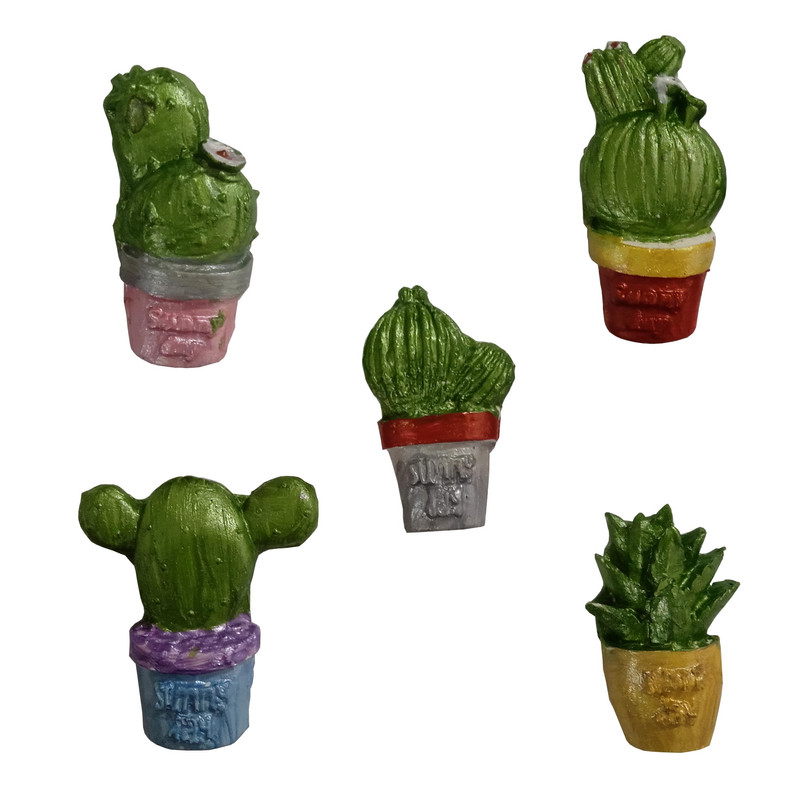 مگنت مدل کاکتوس بسته 5 عددی