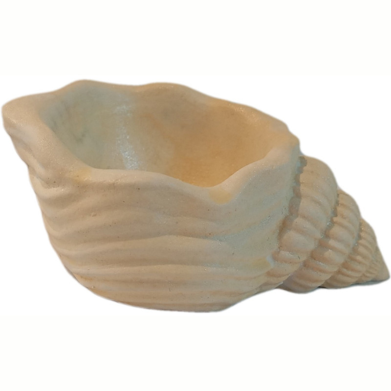 جاشمعی مدل صدفی