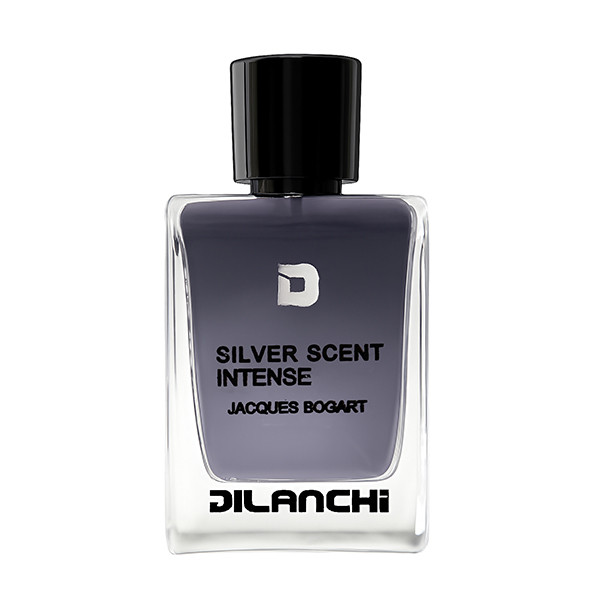 ادو پرفیوم مردانه دیلانچی مدل Silver Scent با رایحه گرم حجم 100 میلی لیتر