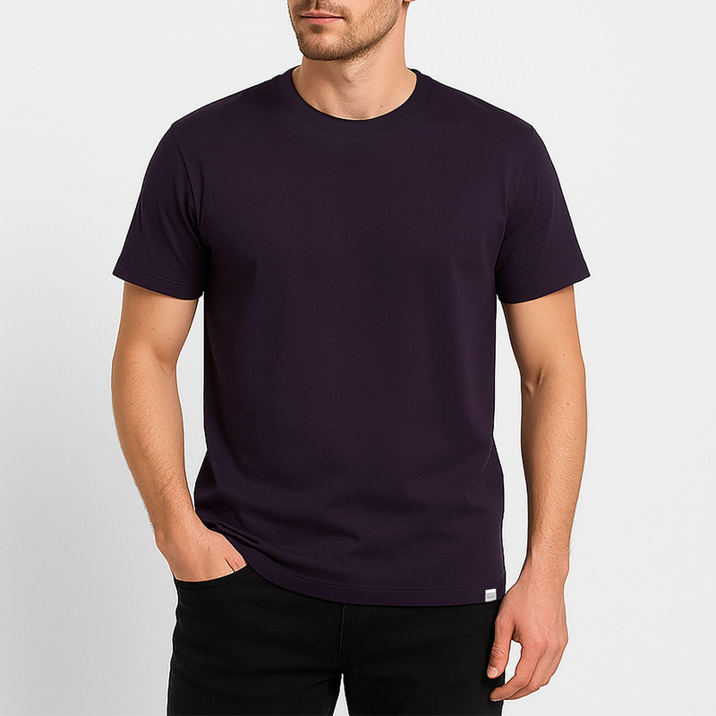 تی شرت آستین کوتاه مردانه باینت مدل 373-25