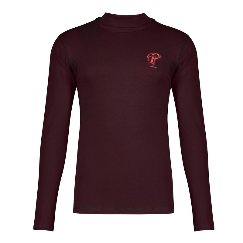 پلیور یقه اسکی مردانه مدل FANRIP Z