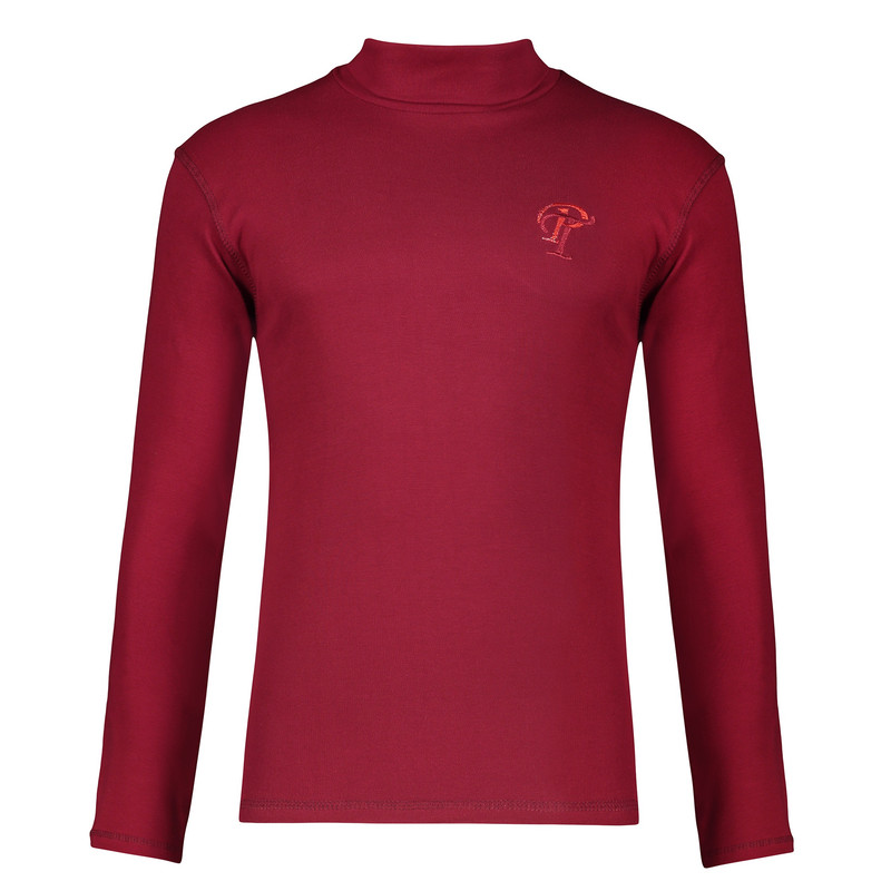 پلیور یقه اسکی مردانه مدل FANRIP GH